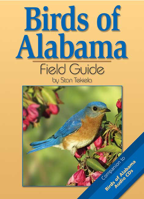 Birds Alabama Field Guide